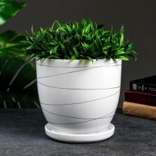 Flower pot 