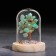 Souvenir in the dome "Energy tree. Anterurine green", natural stone, 10 x 7 cm