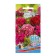 Flower seeds Flowers clove "Antalya", Turkish, 0, 2 g