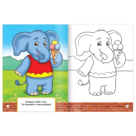 Coloring "My Favorite Zoo", 12 p.-1