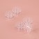 Set of rumps, d = 20.5 mm, 5 pcs, the color is transparent