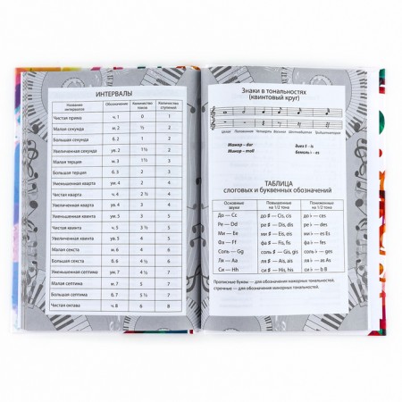 Diary for the music school is a solid cover of 40 liters. "September 1: multi -colored notes"-3