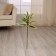 Flowers artificial "Palma homemade luxury" 55 cm, light green