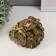 NECSK Polystone Bronze "Cash toad on the hill of Chinese coins" 10x11.5x12.5 cm
