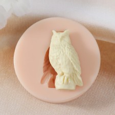 Mold Silicon 