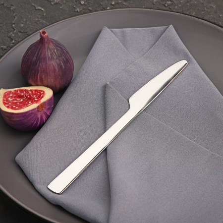 Knife table shares "New Gastro", length 20 cm, thickness 2 mm, silver color-1