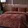 Set: cover 240x260 cm, pillowcase 50x70 cm - 2 pcs, color terracotta