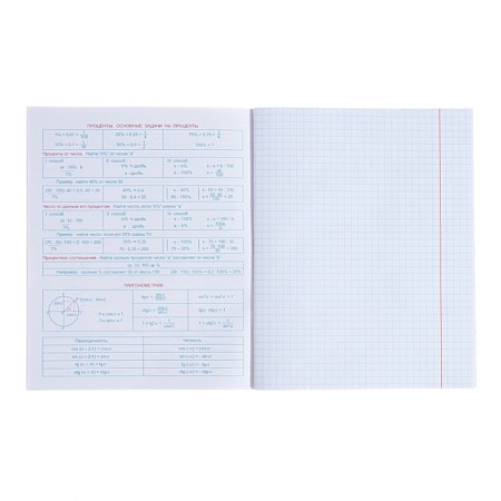 Subject “Domino”, 48 sheets in a cage, “algebra”, plastic cover, offset block-2