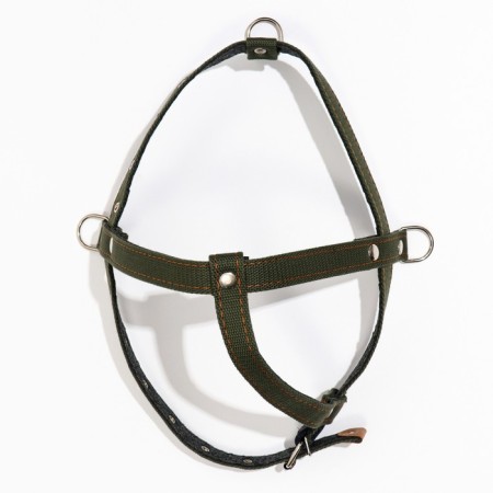 Sleaner harness on felt multi-sized, 2.5 cm, Osh 44-68, OG 46-80 cm, dark green-1