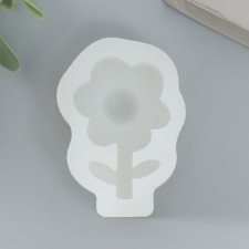 Mold Silicon 