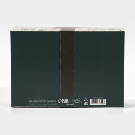 Box the team "New Year's package", 22 x 15 x 6 cm, New Year-3
