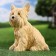 Garden figure "dog" beige, 25x23x19cm