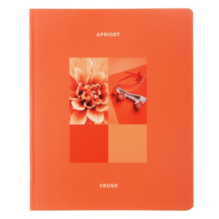 Notebook of 48 sheets in a cage on an apricot paper clip, covered cardboard, matte lames, mix-4