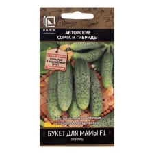 Cucumber seeds 