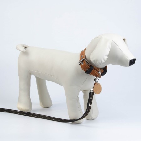 Set: collar (36-56x2.5 cm) and leash (130x1.5 cm), beige and black color-6