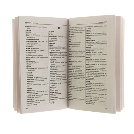“The spelling dictionary of the Russian language for those who study”, Alabugina Yu.V.-2
