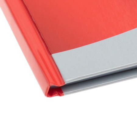 The diary is universal, for grade 1-11, "tirade", a solid cover, glossy lamination, an offset unit, a universal cheat sheet, 48 sheets-2