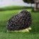 Garden figure "Hedgehog pressed" large 26x16x17cm