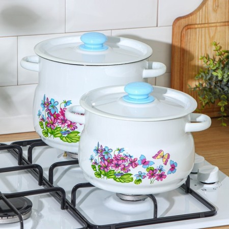 Set of pan "violet", 2 items: 4/5.5 l, enameled covers, induction, color of mix-3