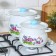 Set of pan "violet", 2 items: 4/5.5 l, enameled covers, induction, color of mix