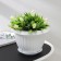 Pot with the pallet "Baikal", 2 l, the color is white