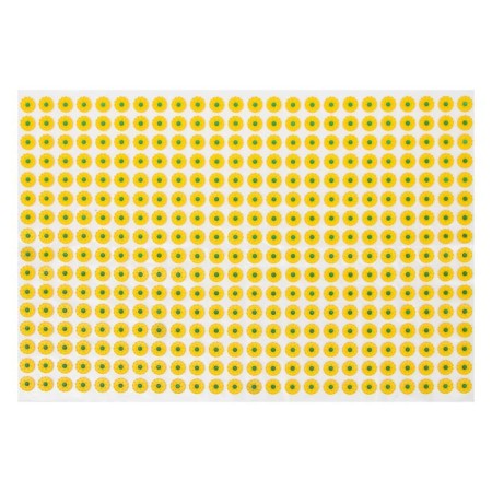 Kuznetsova applicator, 384 spines, film, 50 x 75 cm.-1