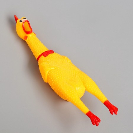 Toy Brush "Chicken", 30 cm, in the mouth-5