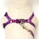 Set "Classic", leash 120 x 1 cm, fire 28-47 cm, purple