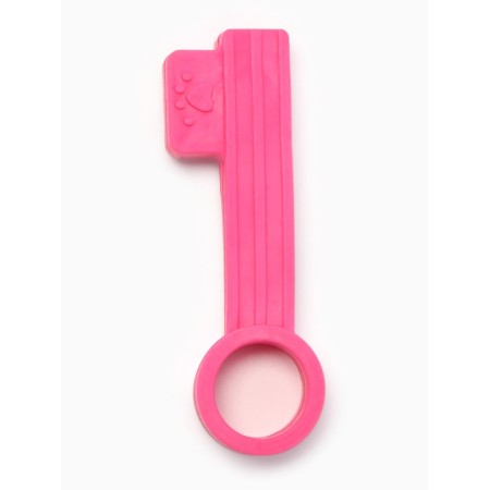 Chewing toy "Key", TPR, 10 cm, pink-1
