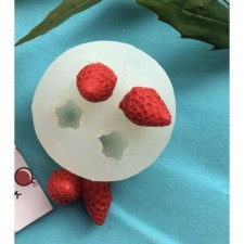 Mold Silicon 3D 