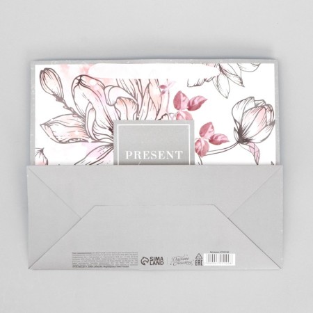 Gift Laminated Horizontal Package, Packaging, Present for You, ML 27 x 23 x 11.5 cm-5