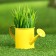 Kashpo "Lake" mix, 13x6x7cm
