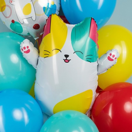 Foil ball 27 "Kitty Lapka", figure-1