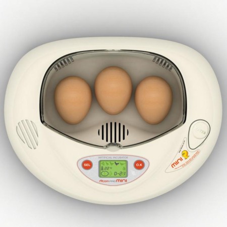 Incubator, 3 eggs, automatic coup, 220 V, rcom mini-1