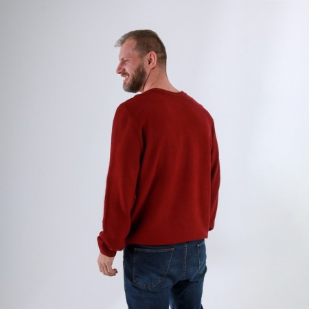 Male jumper SL, 48, burgundy-1
