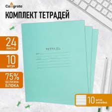 A set of notebooks of 10 pieces, 24 sheets in the line of the Green Cover PDA, block No. 2, whiteness 75% (gray sheets)