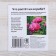 Training cards "What is growing on the flowerbed?"