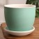 Flower "Ferrara" green relief 6 l