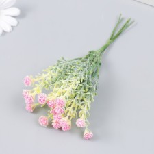 Flowers for decorating 