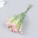 Flowers for decorating "Shabo clove" pink 1 bouquet = 6 heads 17 cm
