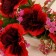 Bouquet "Chrysanthemum Garden Galant" 6x24 cm, mix