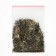 Cat mint "Pijon", 1 g