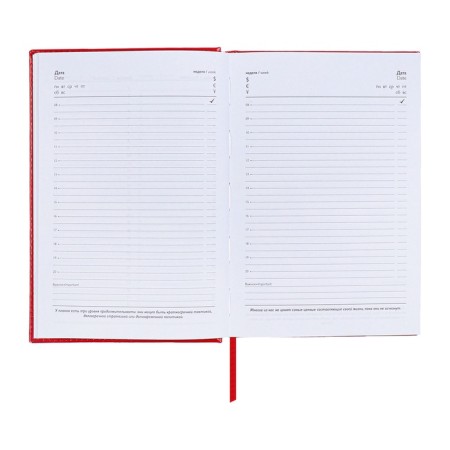 Diary of Leduced A5, 160 sheets of Escalada, solid cover of artificial leather, pancake embossing, lies, block 70g/m2, red-9