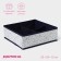 Organsiser for storing linen of the Dolyan "Marmelad", 4 cells, 29 × 29 × 10 cm, white color