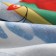 Kitchen towel: New Year "Ethel" The dream will turn 40x70 cm, 100% HL, sarzha 190 g/m2
