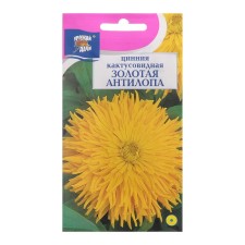Zinnia Flowers 
