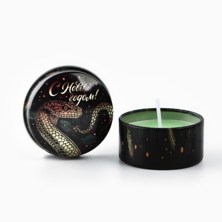 New Year. New Year's candle in the iron bank "New Year" aroma spruce branches, 4.8 cm-3