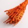 Set of dried flowers "Zheleznitsa", banch length 35 (+/- 6 cm), orange