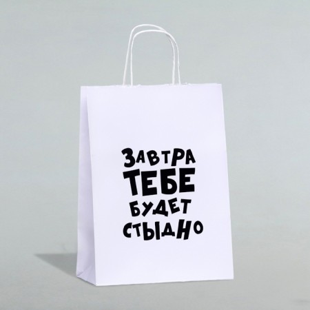 Gift package “Tomorrow will be ashamed of you”, 24 x 10.5 x 32 cm, 1 pcs