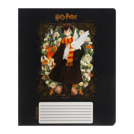 Notebook of 12 sheets in the Harry Potter cage, covered cardboard, OFSET block 65, 5 species mix-9